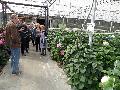 Klik voor vergroting Foto 19