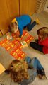 Klik voor vergroting Foto 9