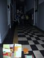 Klik voor vergroting Foto 5