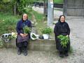 Klik voor vergroting Foto 11