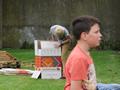Klik voor vergroting Foto 18