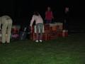 Klik voor vergroting Foto 22