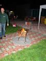 Klik voor vergroting Foto 28