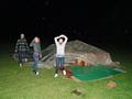 Klik voor vergroting Foto 31