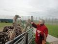 Klik voor vergroting Foto 40