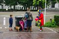 Klik voor vergroting Foto 8
